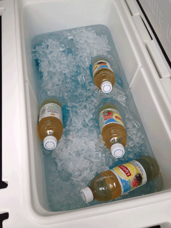 KK in ice chest with ice